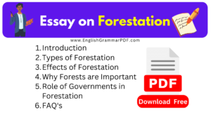 Essay on Forestation