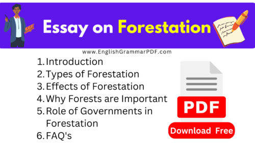 Essay On Forestation (Free Download) -1400 Words