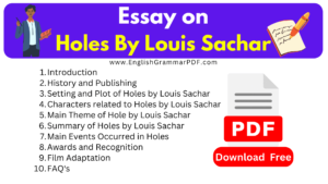 Essay on Holes By Louis Sachar