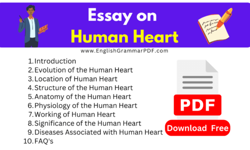 Essay On Human Heart (Free Download) -1400 Words