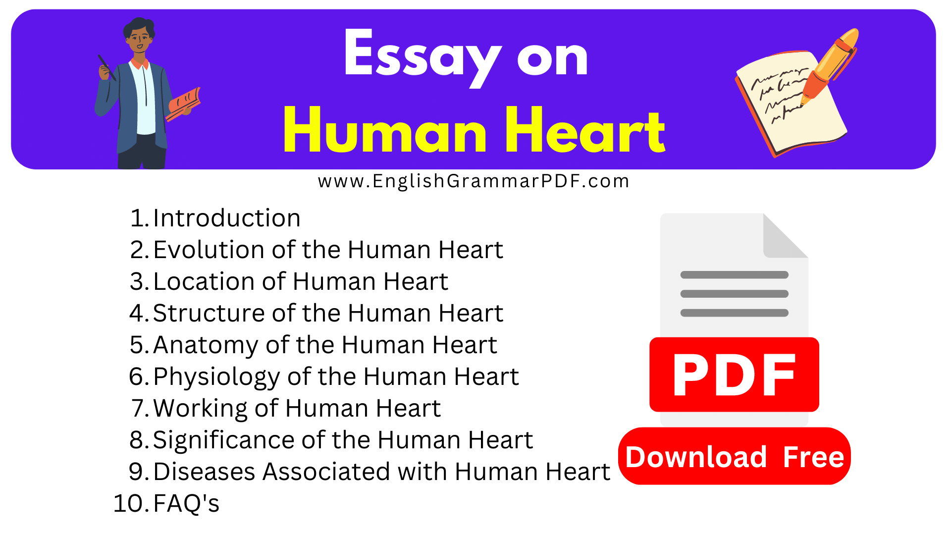 Essay on Human Heart