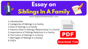 Essay on Siblings In A Family