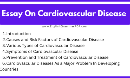 1000 Words Essay On Cardiovascular Disease (Free English Essay)