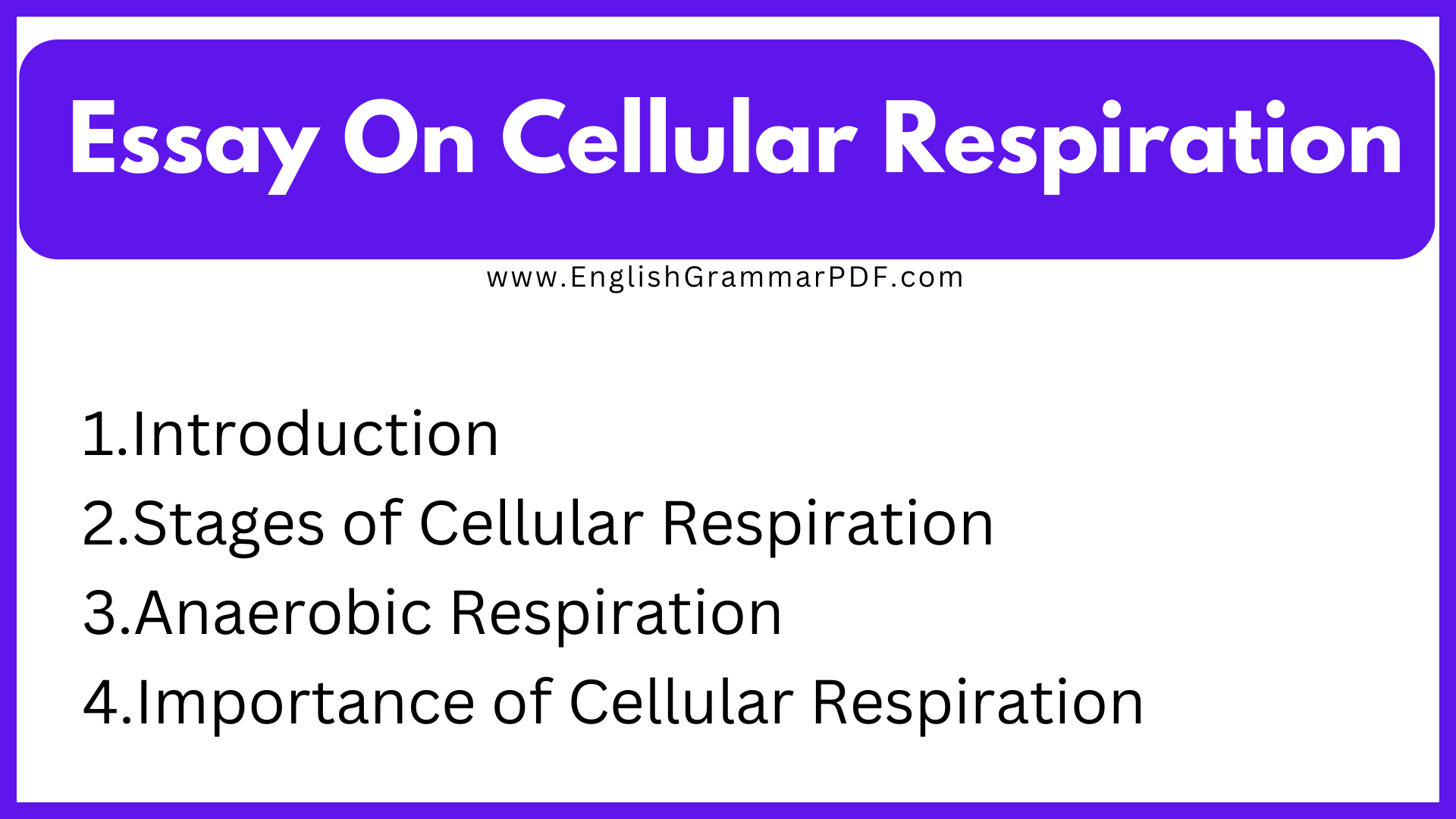 Essay On Cellular Respiration