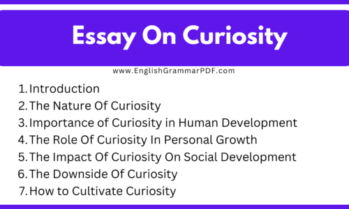 1000 Words Essay On Curiosity (Free Essay)