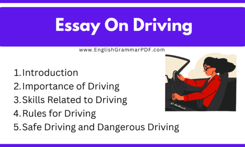 300 Words Essay On Driving (Free English Essay)