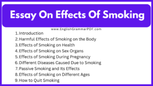 Essay On Effects Of Smoking