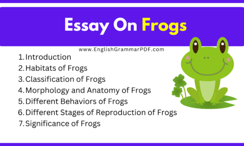 300 Words Essay On Frogs (Free English Essay)