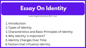 Essay On Identity