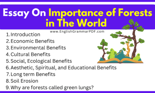 Essay On the Importance of Forests in The World (Free English Essays)