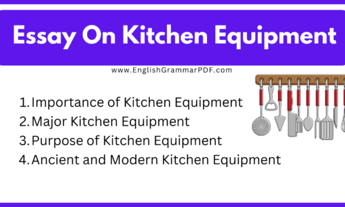 500 Words Essay On Kitchen Equipment (Free English Essay)