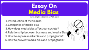 Essay On Media Bias