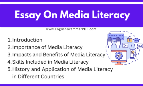 300 Words Short Essay On Media Literacy (Free English Essay)