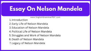 Essay On Nelson Mandela