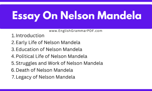 300 Words Short Essay On Nelson Mandela (Free English Essay)