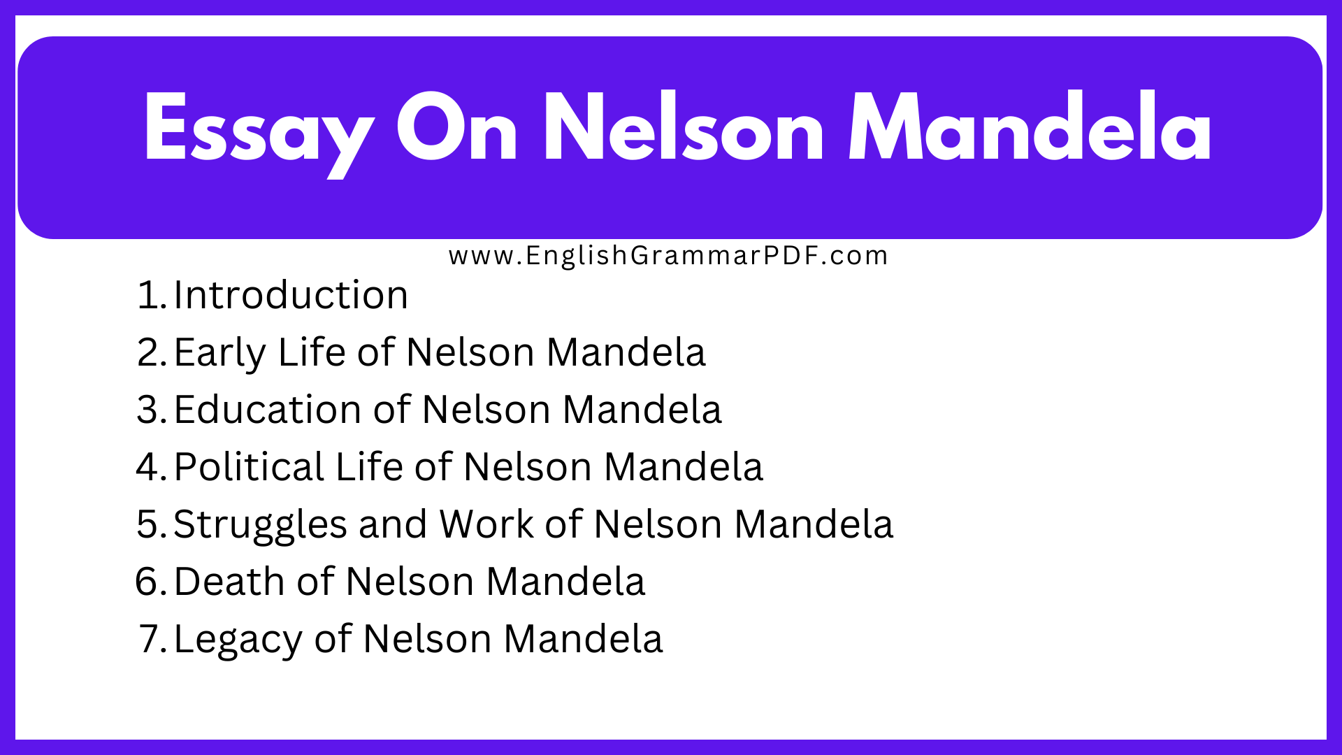 Essay On Nelson Mandela