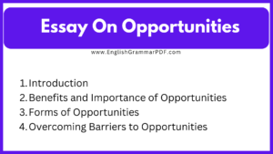 Essay On Opportunities