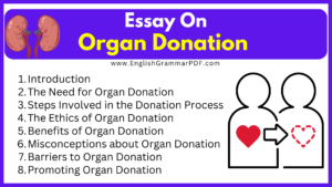 Essay On Organ Donation