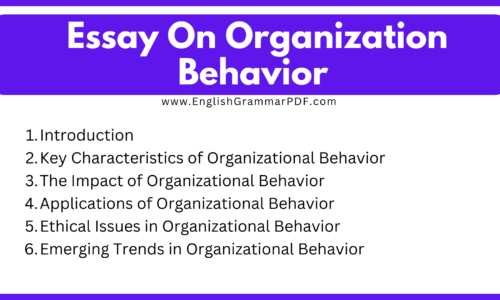 1000 Words Short Essay On Organization Behavior (Free Essay)