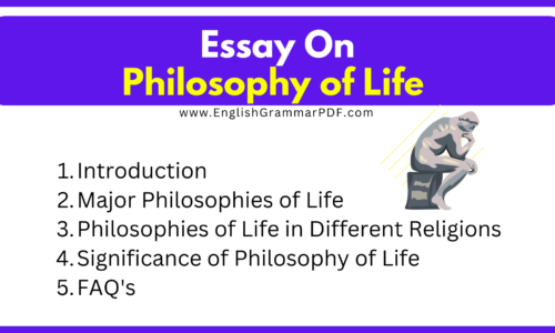 Philosophy of Life Essay (Free English Essays)