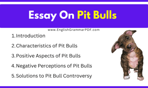 Essay on Pit Bulls (Free English Essays)