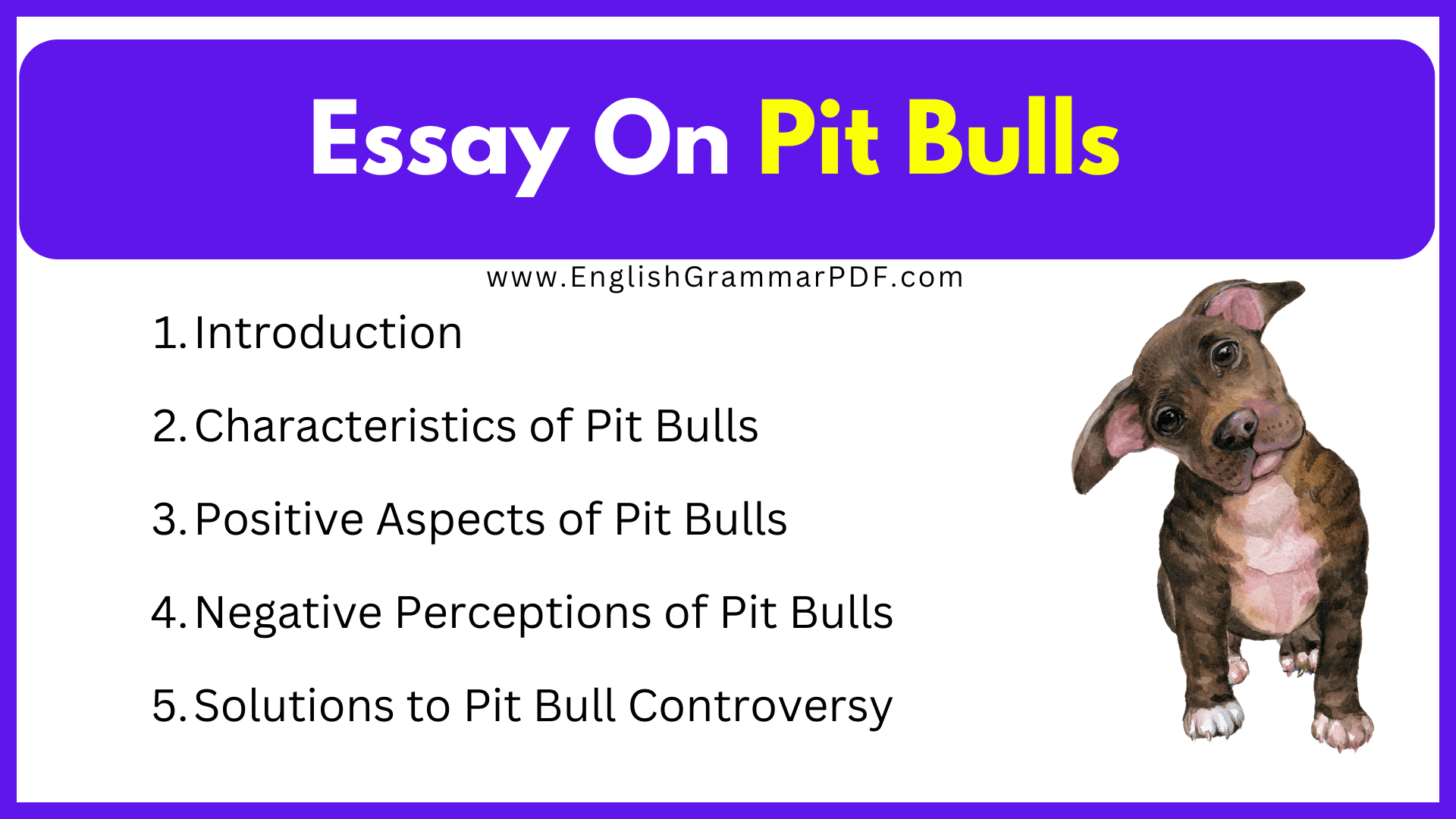 Essay On Pit Bulls