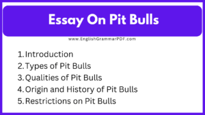 Essay On Pit Bulls