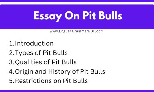 300 Words Short Essay On Pit Bulls Essay (Free)