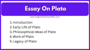 Essay On Plato