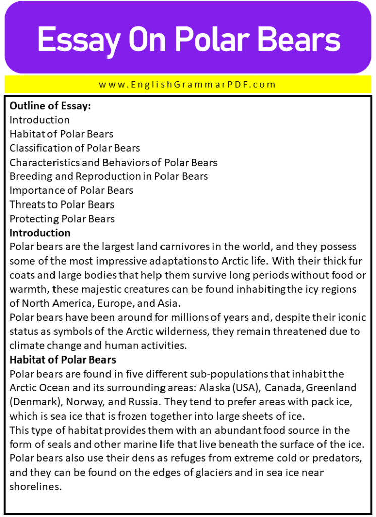 3 paragraph essay about polar bears