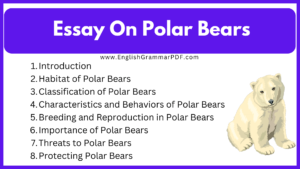 Essay On Polar Bears