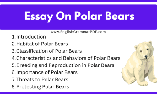 300 Words Essay On Polar Bears (Free English Essay)