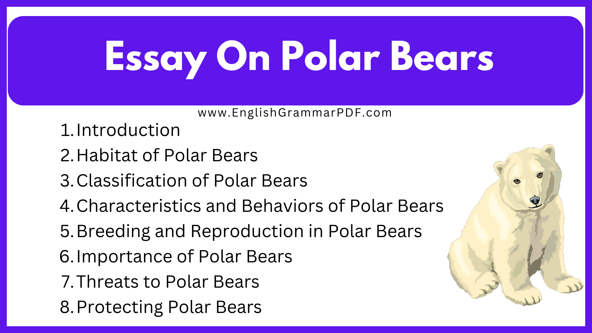 Essay On Polar Bears