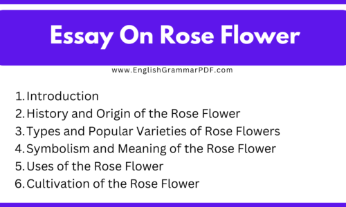 800 Words Short Essay On Rose Flower (Free Essay)