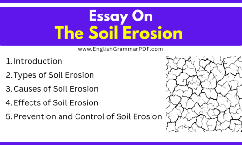 Essay On The Soil Erosion (Free English Essays)