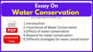 Essay On Water Conservation