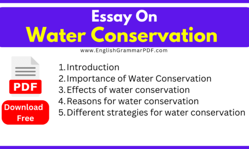 Water Conservation Essay -(1000 Words) Download Free PDF