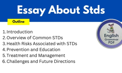 700 Words Essay About STDS (Free English Essays)