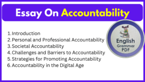 Essay On Accountability