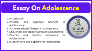 Essay On Adolescence