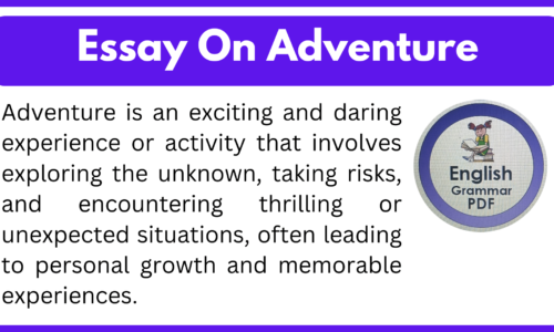 Essay On Adventure (Free English Essays)