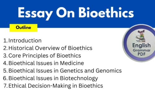 673 Words Essay On Bioethics (Free English Essays)