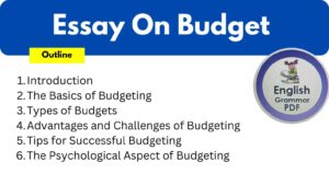 Essay On Budget