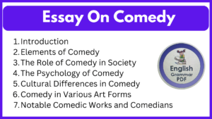 Essay On Comedy