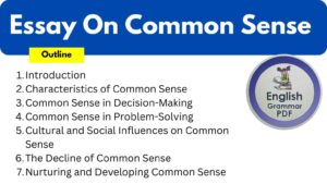 Essay On Common Sense