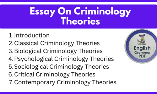 Essay On Criminology Theories (Free English Essays)