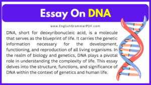 Essay On DNA