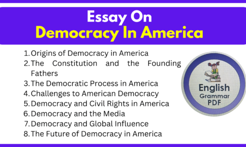 Essay On Democracy In America (Free English Essay)