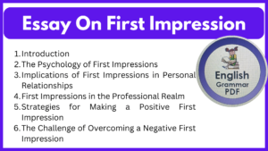 Essay On First Impression