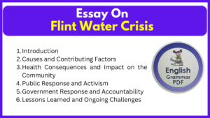 Essay On Flint Water Crisis